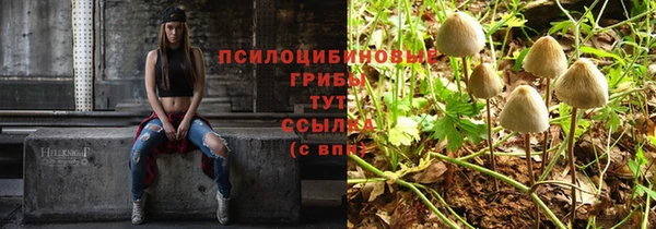 гидропоника Покачи