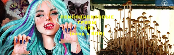 PSILOCYBIN Абинск