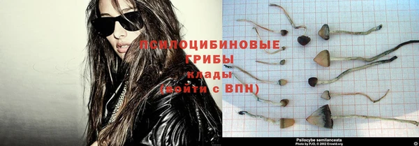 PSILOCYBIN Абинск