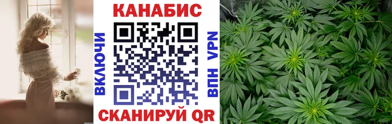 даркнет наркотические препараты  Шахунья  Канабис конопля 